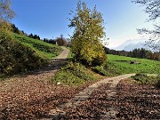 18 Lascio a sx la stradetta per Baita Campo ed entro su stradetta per cascine